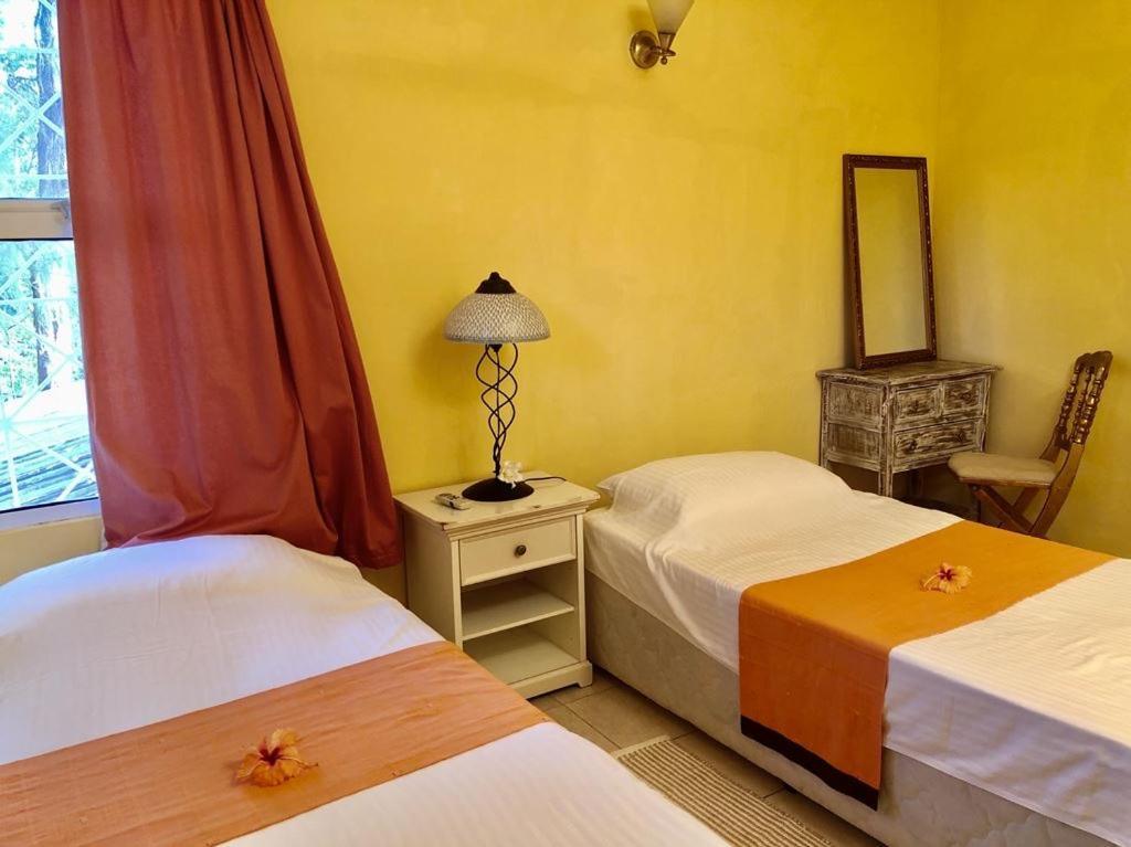Monte-cristo Apartment *