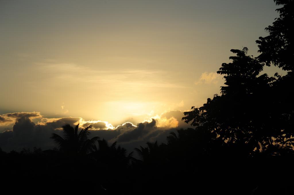 Monte-cristo Anse Boileau